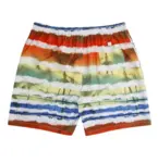Badeshorts m. print (Mangefarvet) - Ed Baxter