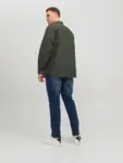 Rygg